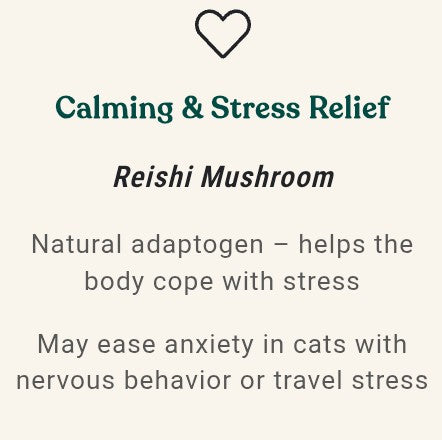 Mushrooms for Cats
