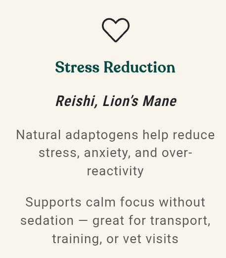 Equine Complex Mushroom Powder