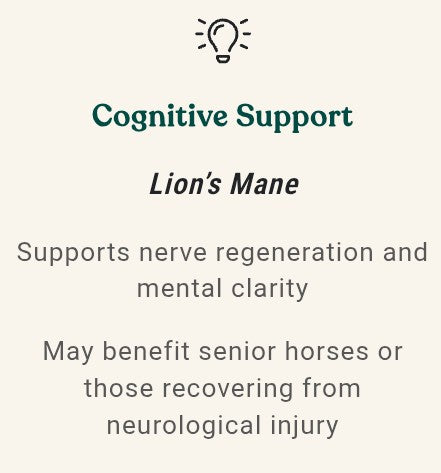 Equine Complex Mushroom Powder