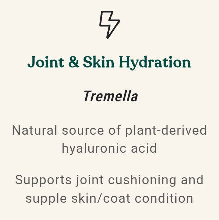 Equine Complex Mushroom Powder