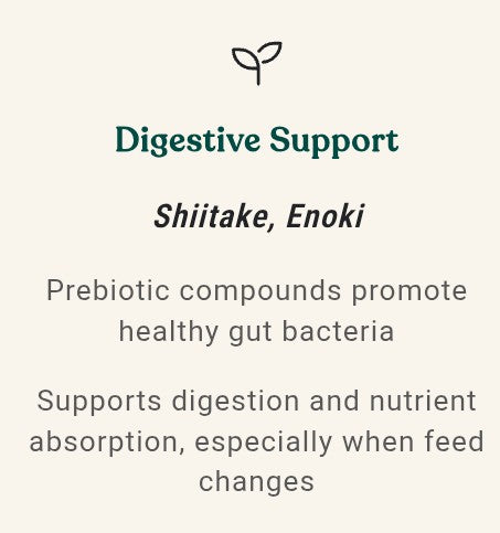 Equine Complex Mushroom Powder